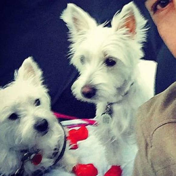 Meet your Posher, Felipe - Picture 1 of 1